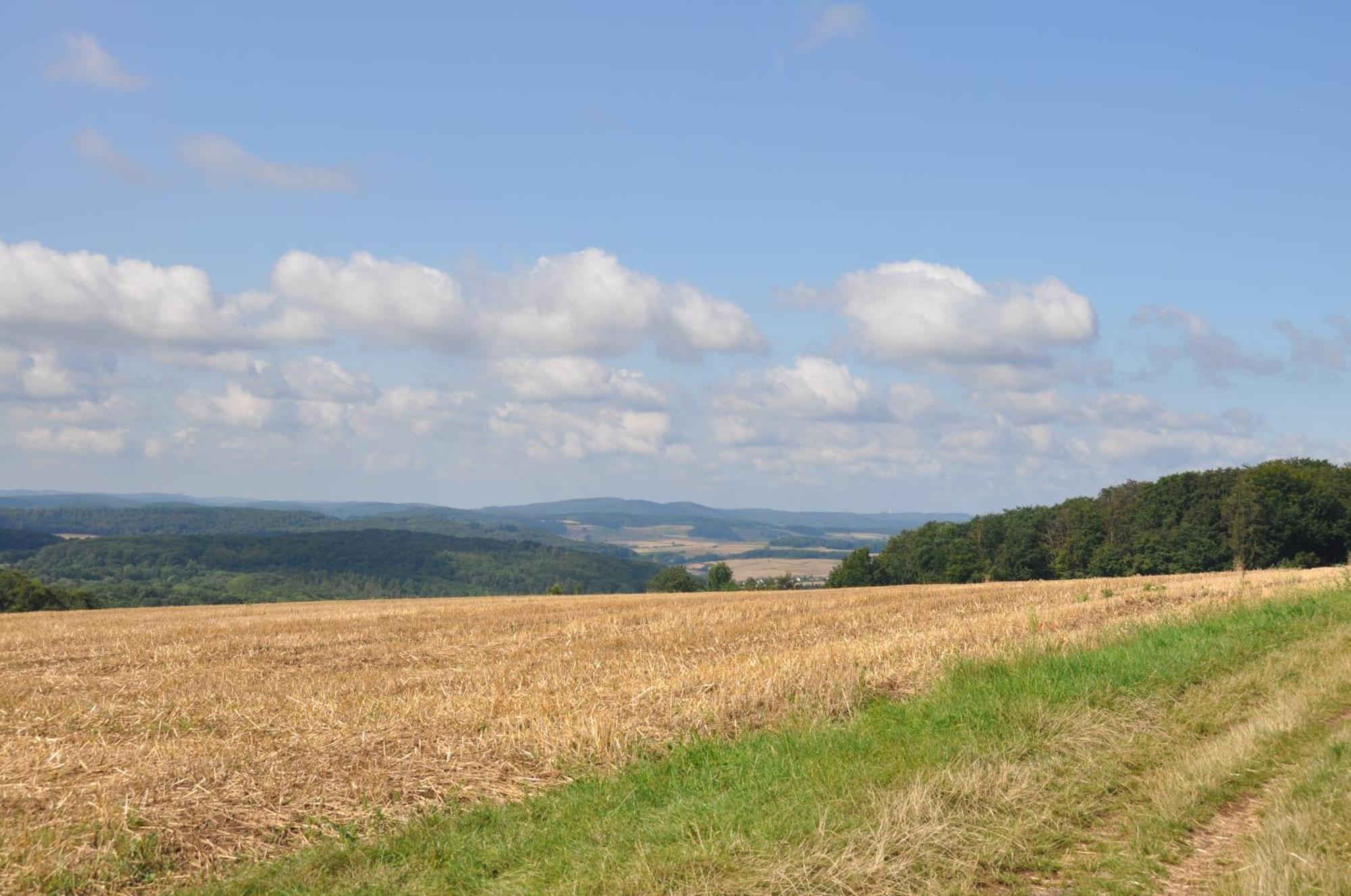 2-Zimmer Wohnung Mit Terrasse, Fernblick, Natur, Ruhig - Marburg Exteriér fotografie
